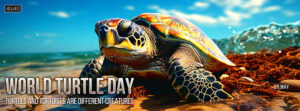 World Turtle Day Facebook Banner