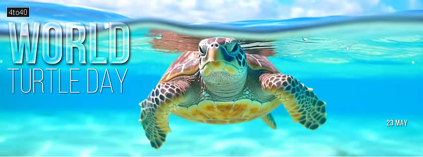 World Turtle Day Free Social Media Banner