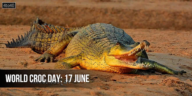 Chambal River is a significant habitat for the critically endangered gharial