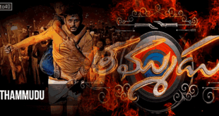 Thammudu: 2025 Telugu Action Drama FIlm, Trailer, Review