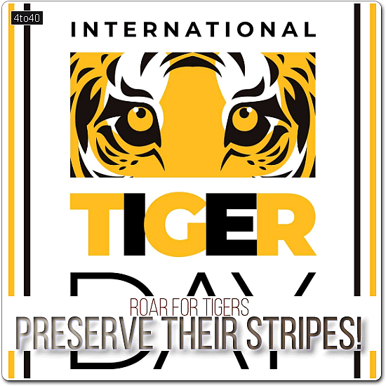 Greeting card with slogan for International Tiger Day: "Roar for Tigers, Preserve Their Stripes!