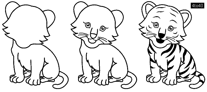Step by step procedure to draw a Baby Tiger