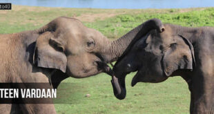 तीन वरदान: हिंदी नैतिक कहानी छात्रों और बच्चों के लिए