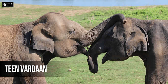 तीन वरदान: हिंदी नैतिक कहानी छात्रों और बच्चों के लिए