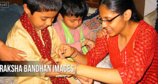 Raksha Bandhan Images: Rakhi Festival Free Photos For Students