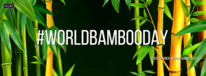 World Bamboo Day Social Media Banner and poster