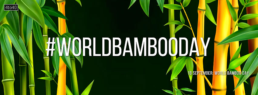 World Bamboo Day Social Media Banner and poster