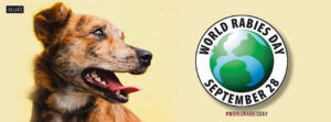 World Rabies Day social media banner poster