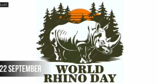 World Rhino Day: Date, Theme, History, Significance & Types of Rhinoceros