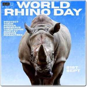 World Rhino Day is observed every year on September 22 to raise global awareness about the conservation needs of the five surviving rhinoceros species.