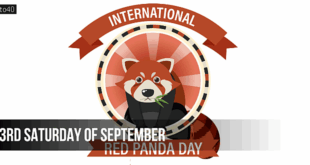 International Red Panda Day: Date, History, Significance and Key Facts