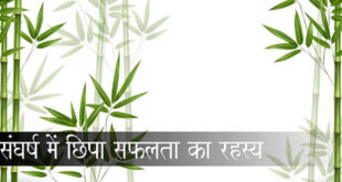 संघर्ष में छिपा सफलता का रहस्य: जापान की प्रेरक लोककथा