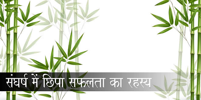 संघर्ष में छिपा सफलता का रहस्य: जापान की प्रेरक लोककथा