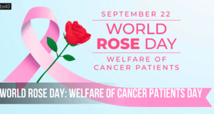 World Rose Day: Welfare of Cancer Patients Day, History, Significance & Celebration