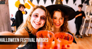 Halloween Festival Images: All Hallows Eve Free Stock Images