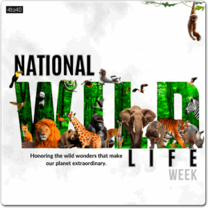 National Wildlife Week Greeting Card