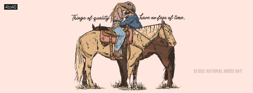 A horse is like a violin