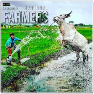 Best wishes to all the farmers around the world who work on acres to eat happily in our home. Happy Farmer's Day