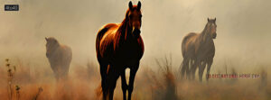 National Horse Day is every year on December 13