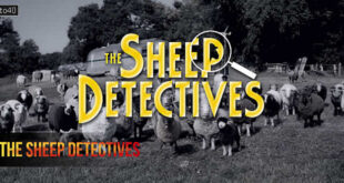 The Sheep Detectives: 2026 Hugh Jackman Mystery Comedy Film Trailer & Review