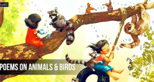 पशु पक्षियों से जुड़ी कवितायेँ: Short Hindi Poems on Animals & Birds