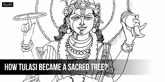 How Tulasi became a Sacred Tree?