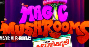 Magic Mushrooms: 2026 Malayalam Comedy Drama Film Trailer, Songs & Review