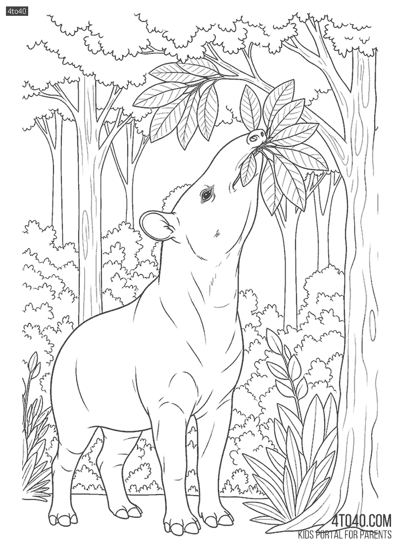 Friendly Tapir Line Art for Kids