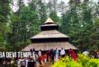 हिडिम्बा देवी मंदिर, मनाली, हिमाचल प्रदेश: Hidimba Devi Temple - Dhungari Temple