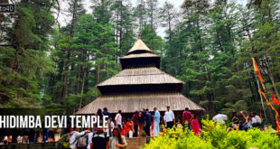 हिडिम्बा देवी मंदिर, मनाली, हिमाचल प्रदेश: Hidimba Devi Temple - Dhungari Temple