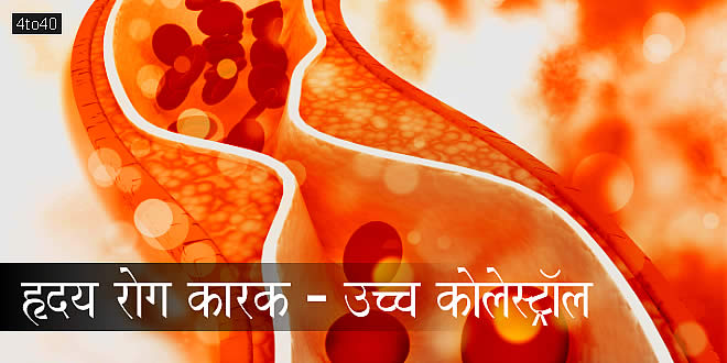 हृदय रोग कारक - उच्च कोलेस्ट्रॉल: Heart Disease Prime Factor - High Cholesterol