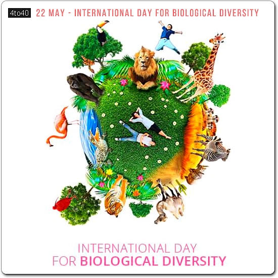 International day to promote biodiversity
