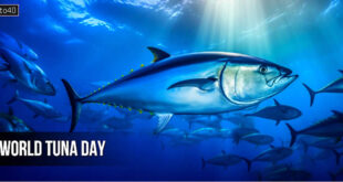 World Tuna Day: Date, History, Theme, Significance, Greetings & Banners