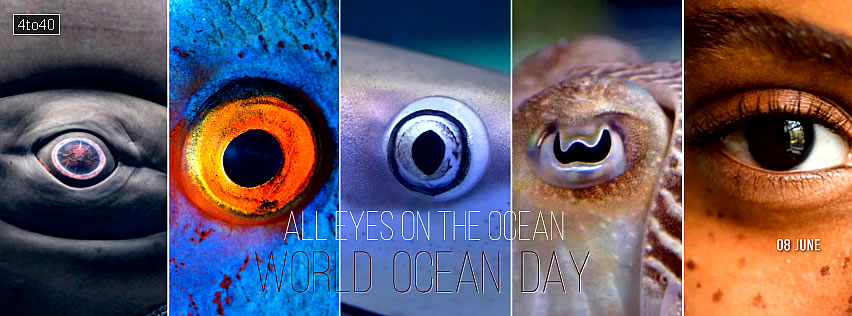 All Eyes on The Ocean - World Ocean Day Banner