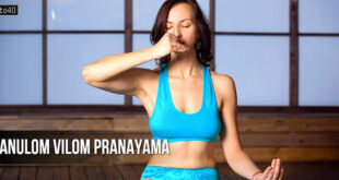अनुलोम विलोम प्राणायाम: Alternate Nostril Breathing or Nadi Shodhana Pranayama