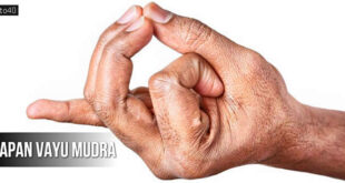Apan Vayu Mudra: Mrita Sanjeevani Mudra - Hand gesture For Cardiovascular Health