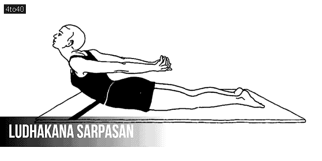 Ludhakana Sarpasan / Ludkan Sarpasana: Rolling Snake Pose