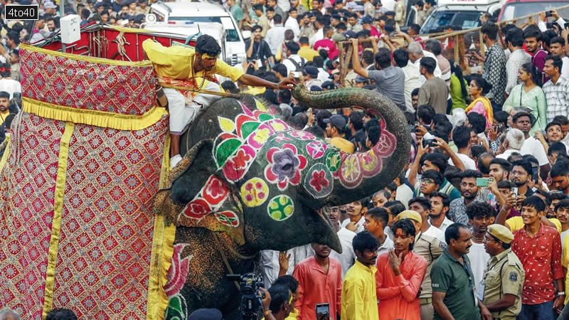 A mahout on an elephant, along with devotees, present during the 149th Lord Jagannath Rath Yatra