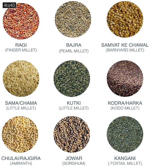 Millets are a diverse group of gluten-free, small-grained cereal grasses
