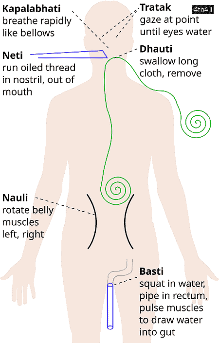 Shatkarmas are six preliminary purifications used in traditional hatha yoga