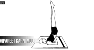 Vipareet Karni Mudra (विपरीत करणी मुद्रा): Precautions, Technique & Benefits