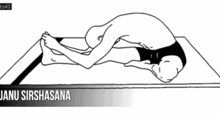 जानुशीर्षासन: तरीका और फायदे - Janu Sirsasana: Head-to-Knee Forward Bend