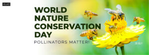 The world is beautiful because of its natural resources, so we must preserve it