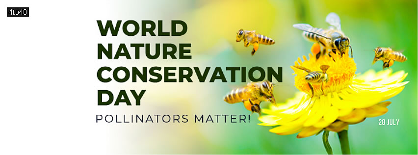 The world is beautiful because of its natural resources, so we must preserve it