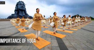 योग का महत्व: The Importance of Yoga