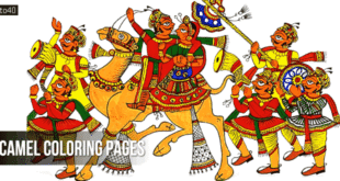 Camel Coloring Pages For Children, Students, Teens and Adults