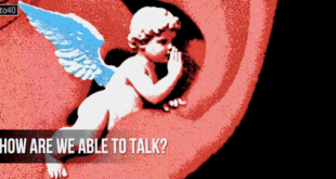 हम 'बात' कैसे कर पाते हैं: How are we able to talk?