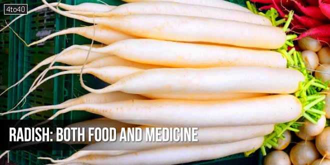 मूली: आहार भी औषधि भी - Radish: Both Food and Medicine