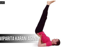 विपरीतकरणी आसन: Legs Up the Wall Pose
