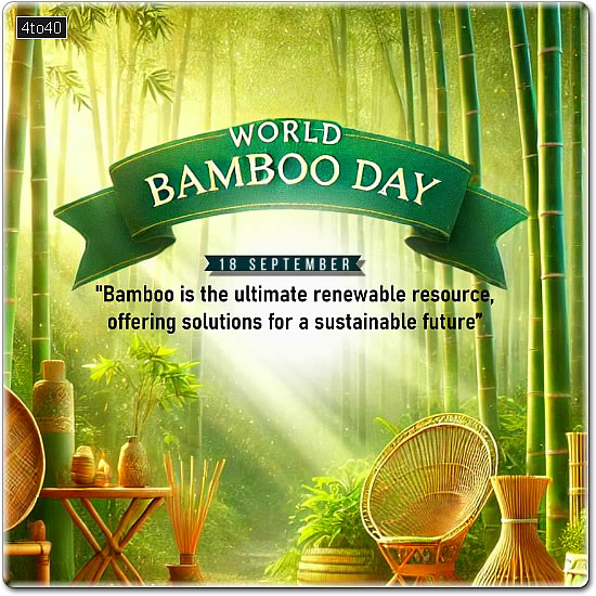 Bamboo - Natural air conditioner - Picture Message Card